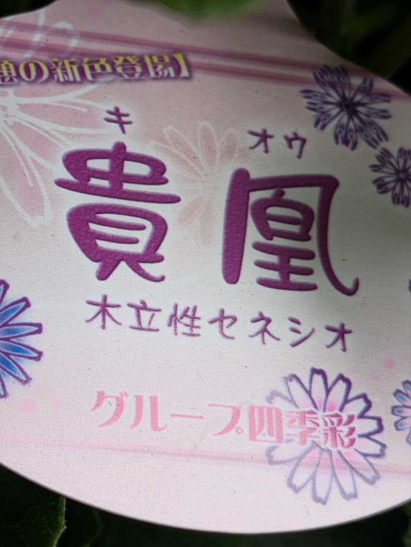 ♡みあり様♡13周年感謝価格✨✨