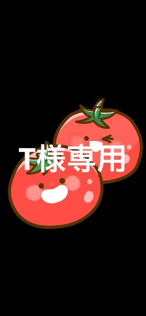 【T】②添加剤セット。 添加剤キャンペーン ウルトジャパン株式会社| 1945年ドイツ創業