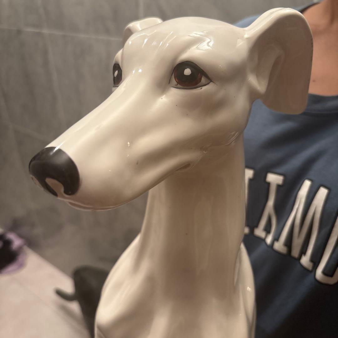 イタリア70年代ビンテージ美しい立ち姿のイタリアングレーハウンド特大