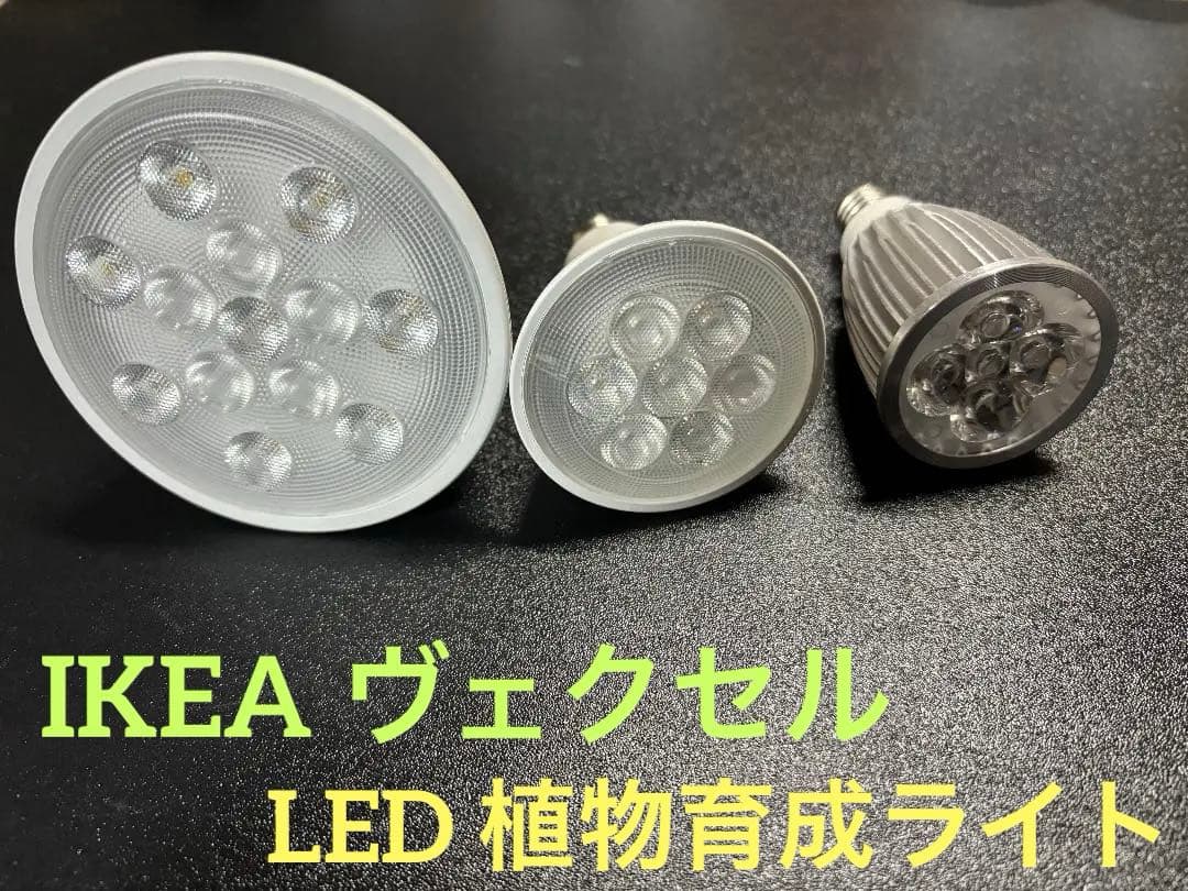 IKEA VÄXER（ヴェクセル） 植物育成ライト セット販売 水草 観葉植物