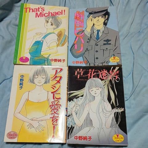 中野純子 セット