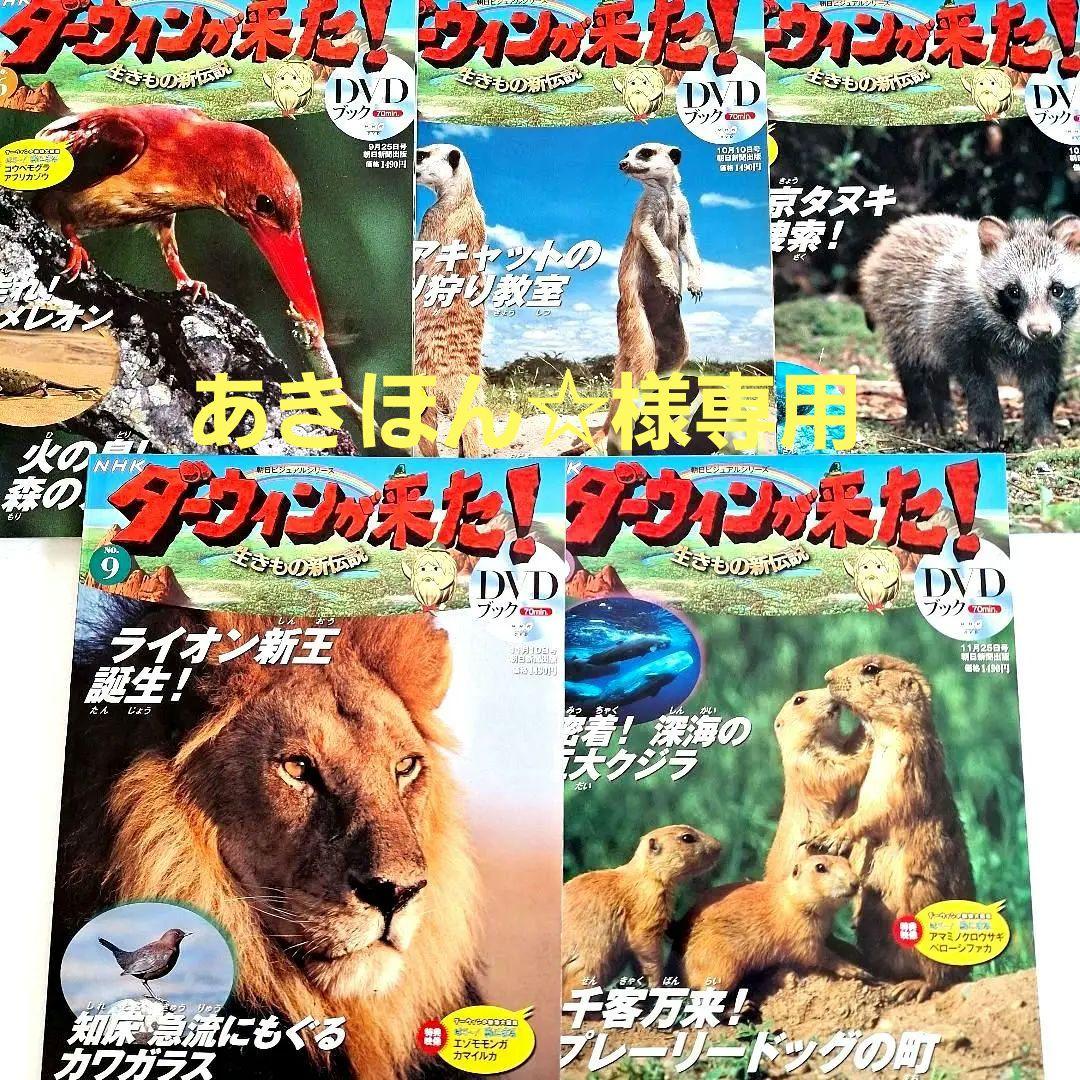 NHK 『ダーウィンが来た！』 DVD付5冊セット - メルカリ