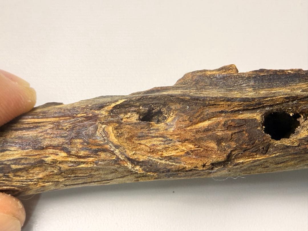 お香 天然沈香 六国五味聞香用 伽羅 香木 4-S-15.090 91eBDy3Wy1L._AC_UF350,