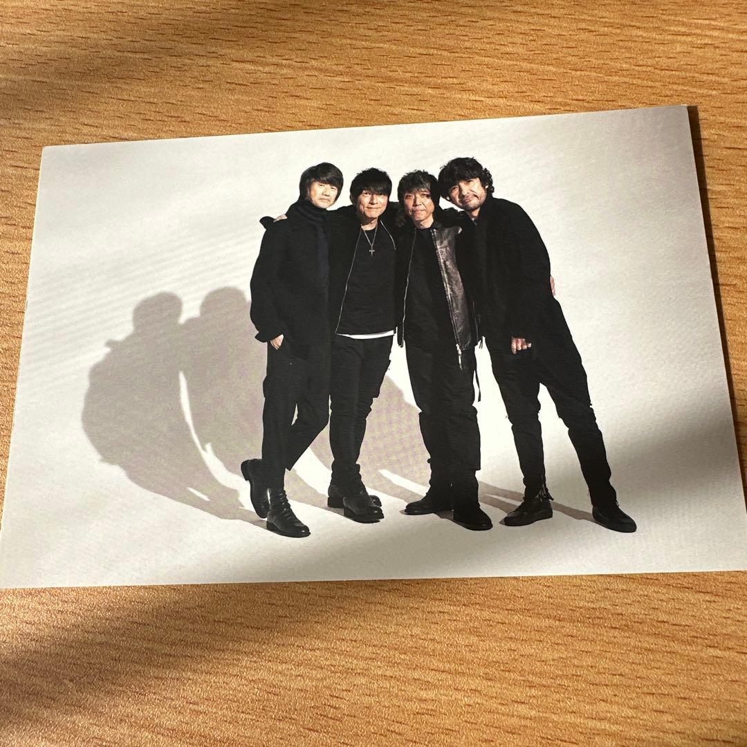 Mr.Children(ミスチル)ファンクラブ 年賀状3枚セット - メルカリ