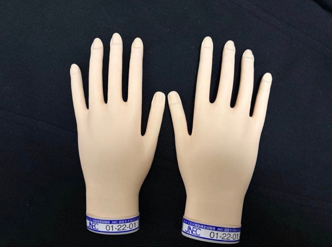 認定ハンド両手 楽天市場】STモデルハンド /片手（JNEC 第1期認定モデルハンド