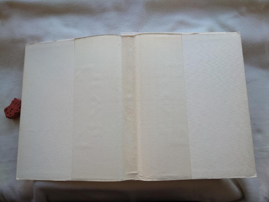 銀座を彩る女たち 銀座高級倶楽部案内　著者 横須賀功光・沢渡朔（撮影）