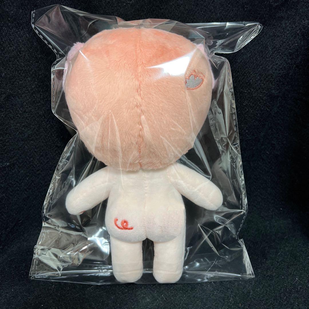 stray kids チャンビン ぬいぐるみ 20cm マスター - メルカリ