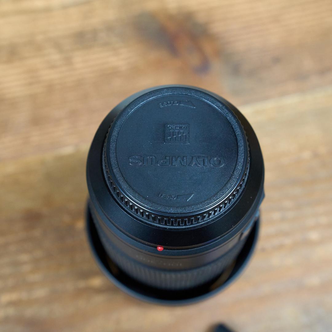 LUMIX G VARIO 100-300mm F4.0-5.6 II パナ