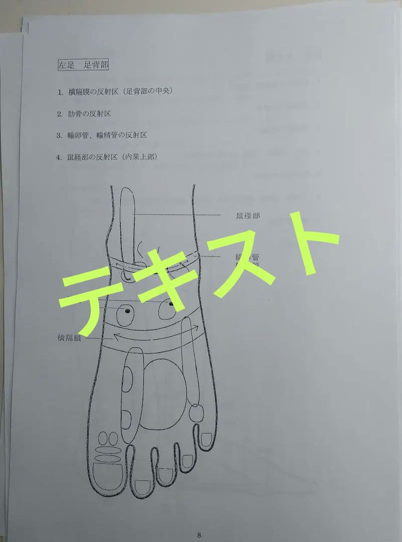 A3:足つぼ（DVD）学ぶ（足部反射療法3級・基礎編）プロの教材set