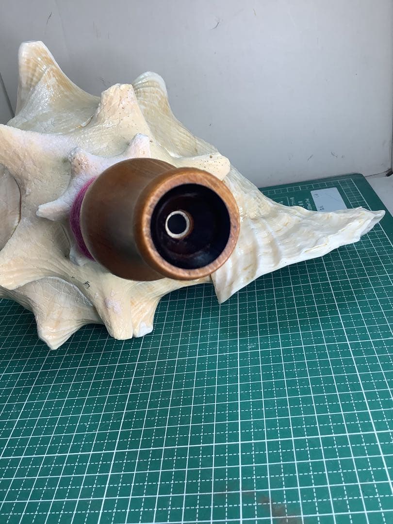 01・ピンクガイ・法螺貝・山伏・修験者・豊臣兄弟・羽黒山・縁起物