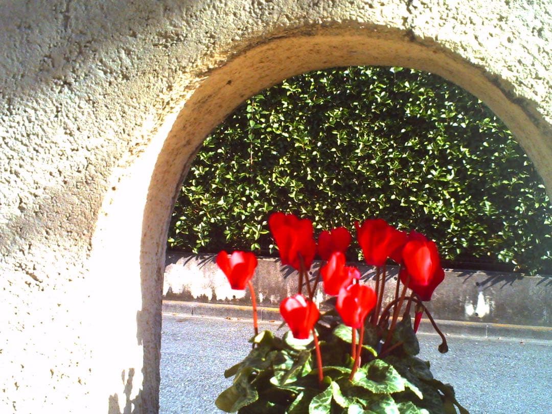 ネコノデジタルカメラ NDC1マイキー、NDC3ホワイト 2台セット - メルカリ