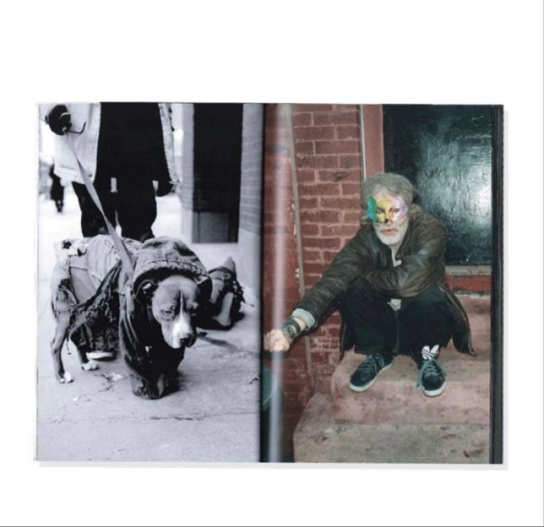 ステッカー‼️ Tompkins Square Park Living Proof - メルカリ