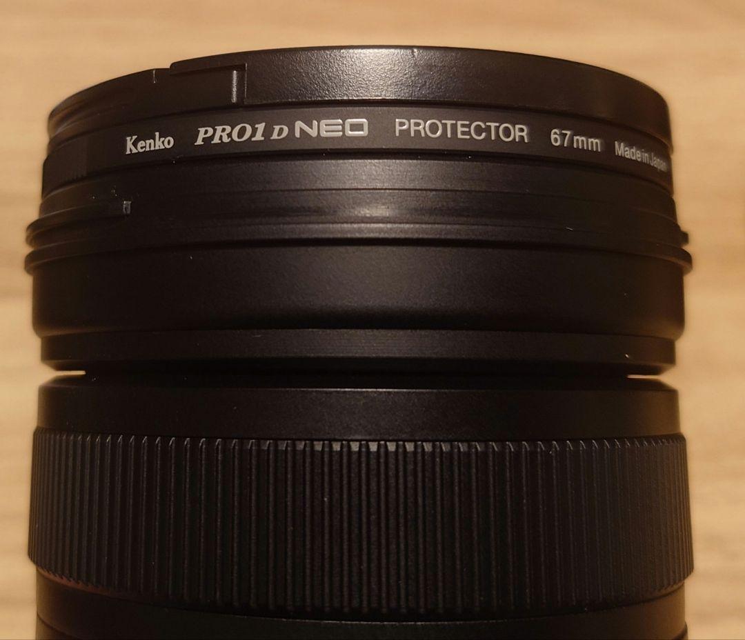 レンズ(ズーム) LUMIX 100-300mm F4.0-5.6 II