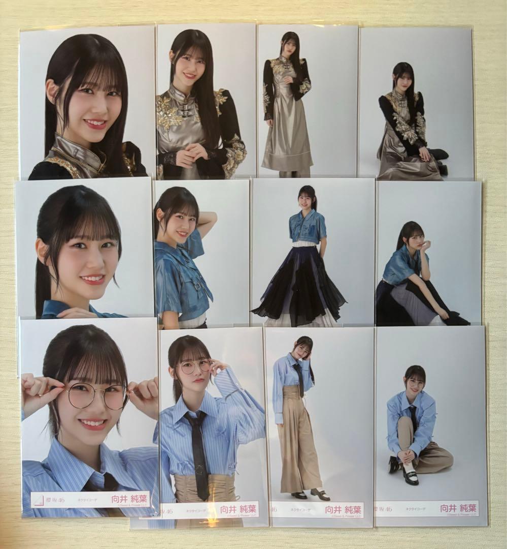 向井純葉 櫻坂46 生写真 12種 コンプ ② - メルカリ
