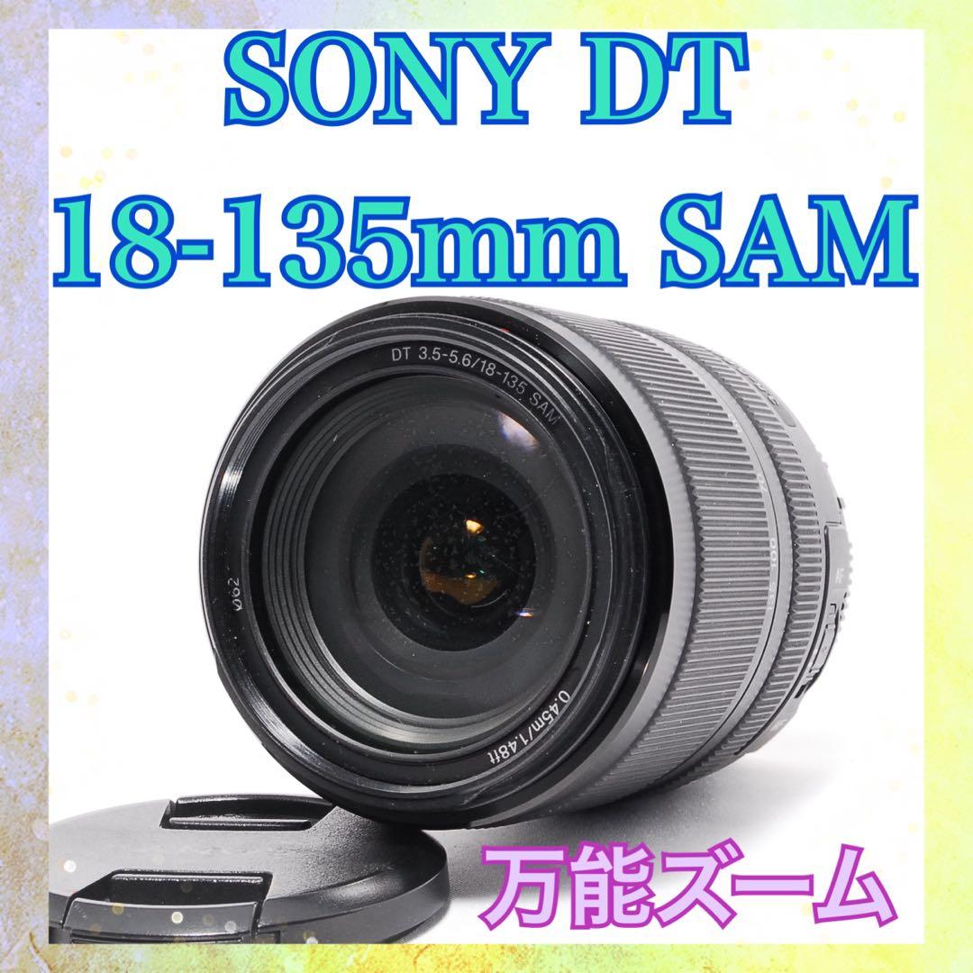 便利な1本◇SONY DT 18-135mm SAM◇高速AF◇万能ズームレンズ - メルカリ