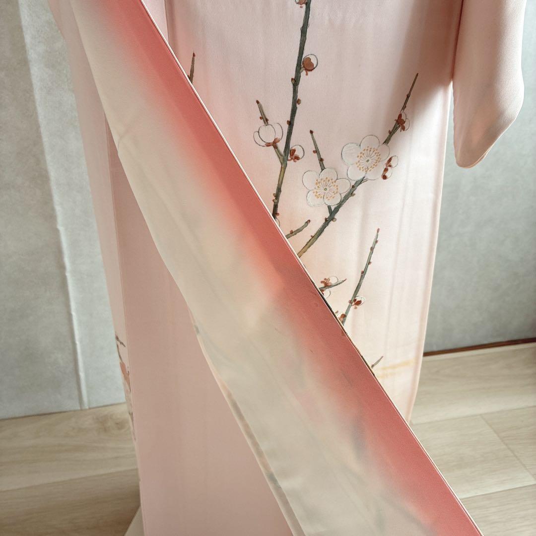 訪問着 フルセット 着物 正絹 手描き 難あり 練習用 梅枝 落款 J1