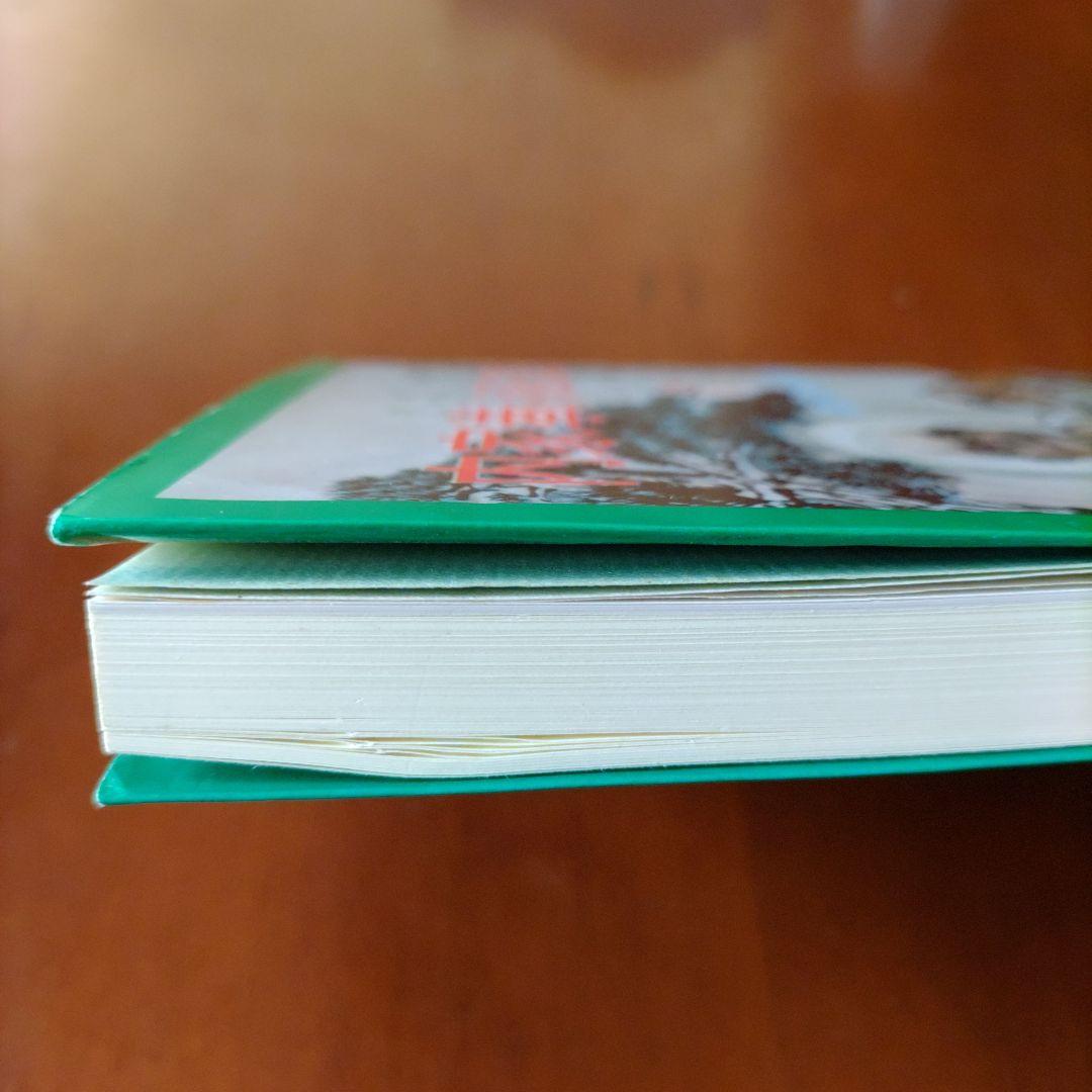 内家拳 秘伝口訣 佐藤金兵衛著 メルカリ限定出品 - メルカリ