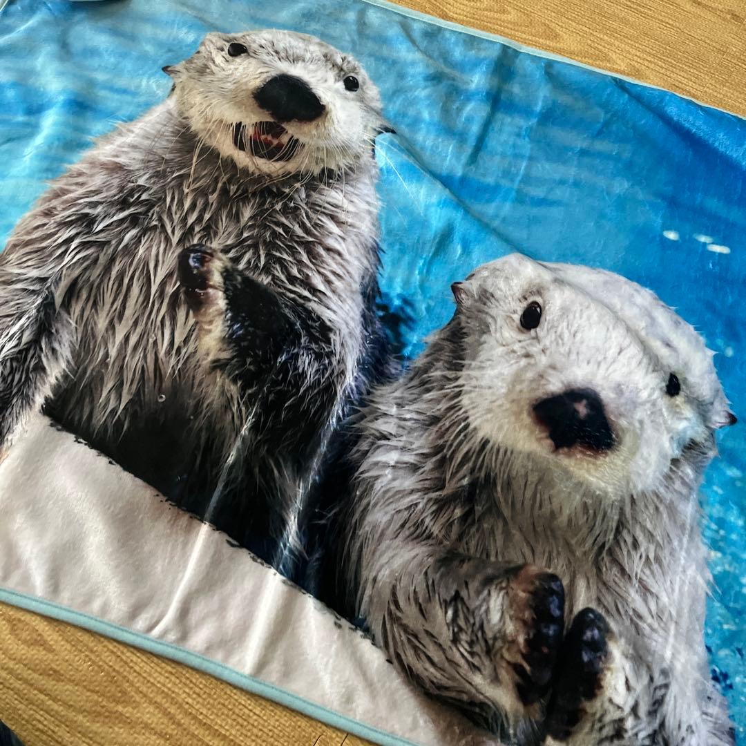 鳥羽水族館 40周年記念 ラッコ飼育 ブランケット 未使用品 - メルカリ