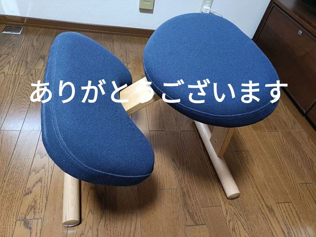 リボ社 Balans EASY バランスイージーチェア ネイビー - メルカリ