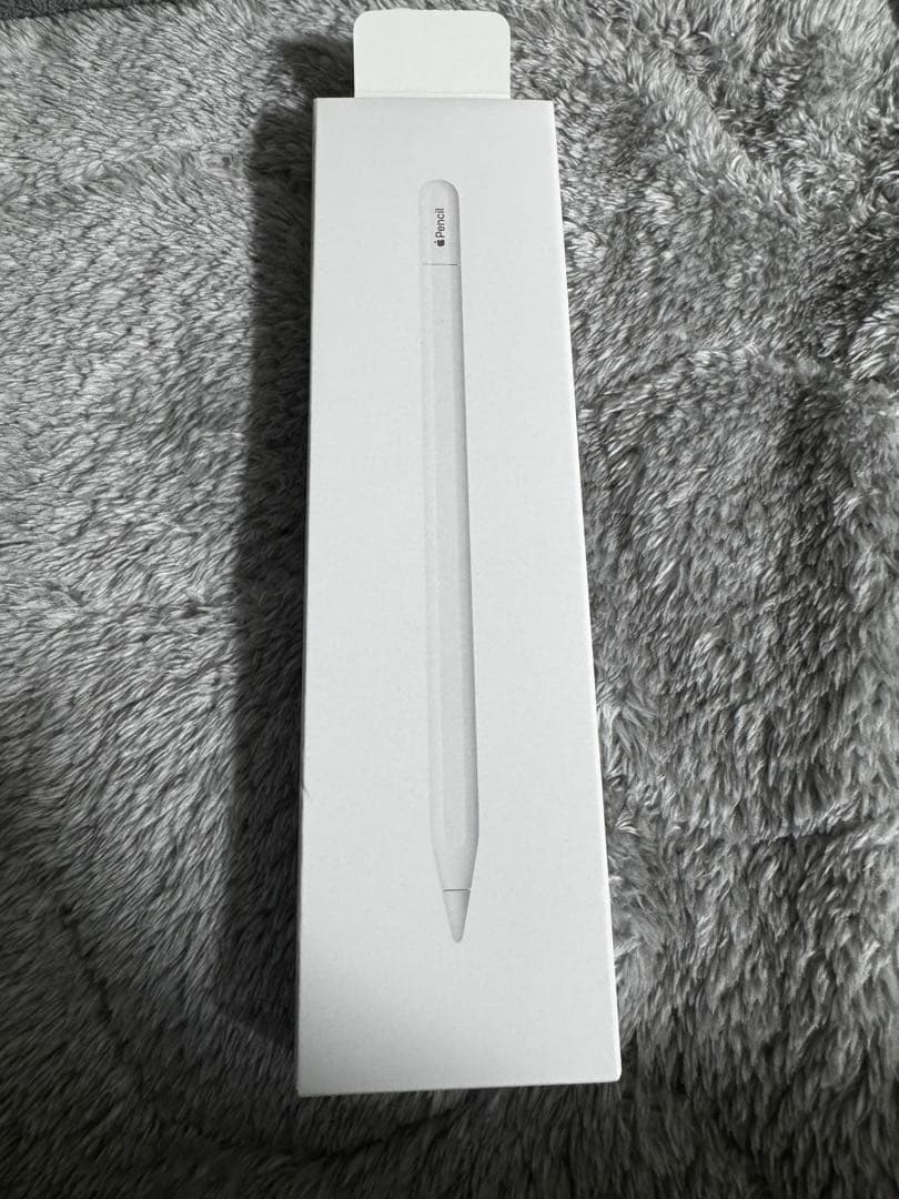iPadアクセサリー Apple Pencil (USB-c) Apple Pencil (USBC) | Troyestore