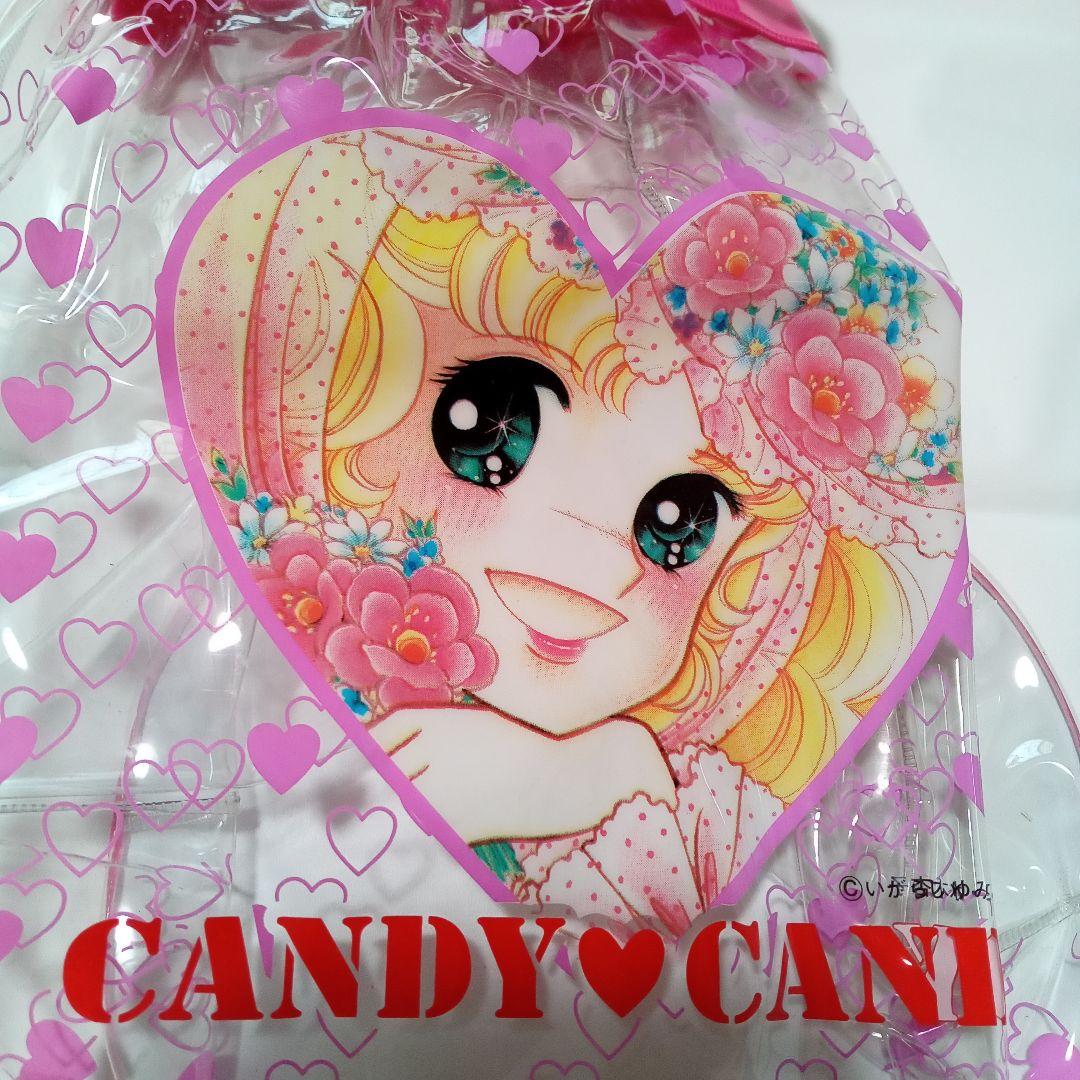 美品 レア 昭和レトロ キャンディ・キャンディ グッズ プールバッグ