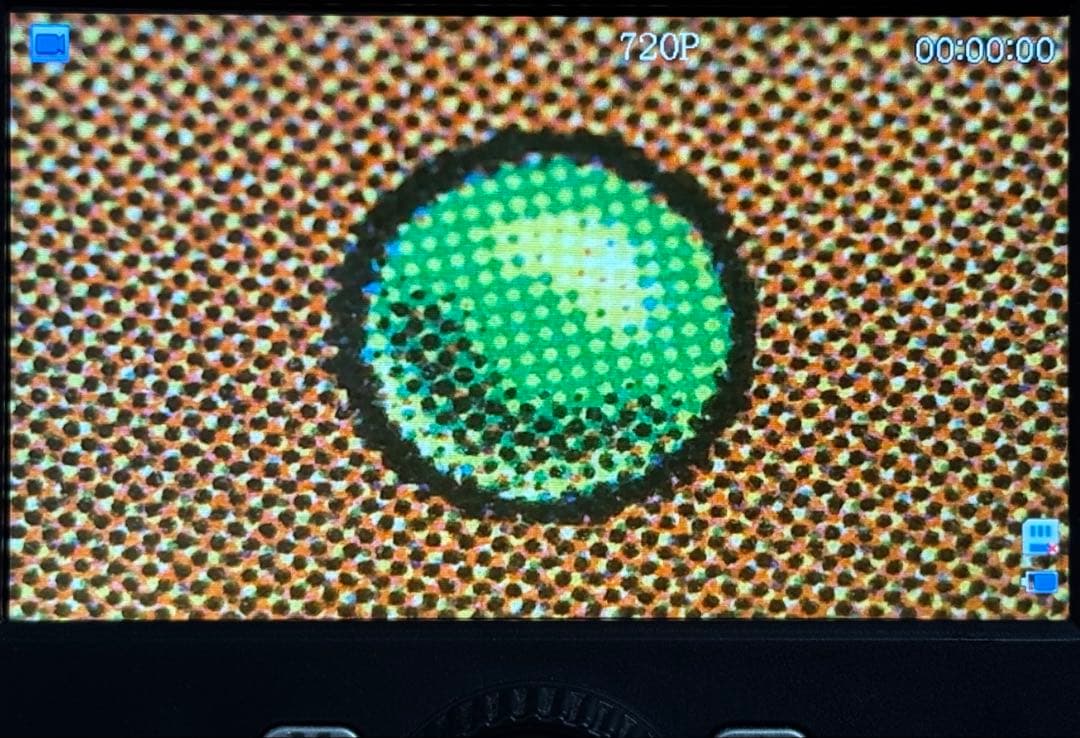 MTG 島 Island LEA NM- (A Purple)