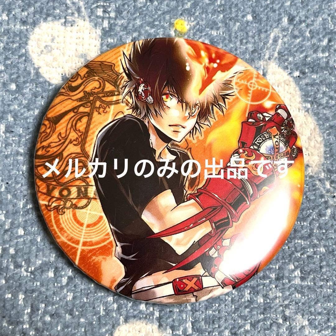 家庭教師ヒットマンREBORN! コレクション缶バッジ 沢田綱吉 - メルカリ