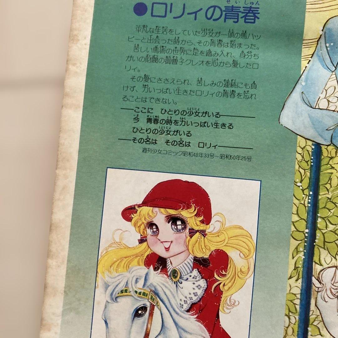 フラワー・デラックス 上原きみこ イラスト集 少女コミック 希少 レア