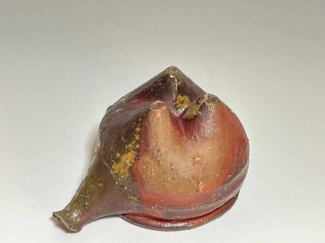 備前酒注ぎ 小出尚永 共箱 師、原田拾六