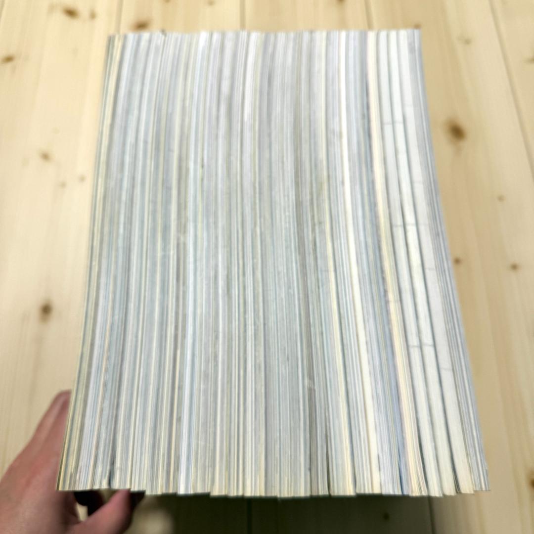 【美品レア】ワンダーJAPAN全19冊+特集号全5冊セット