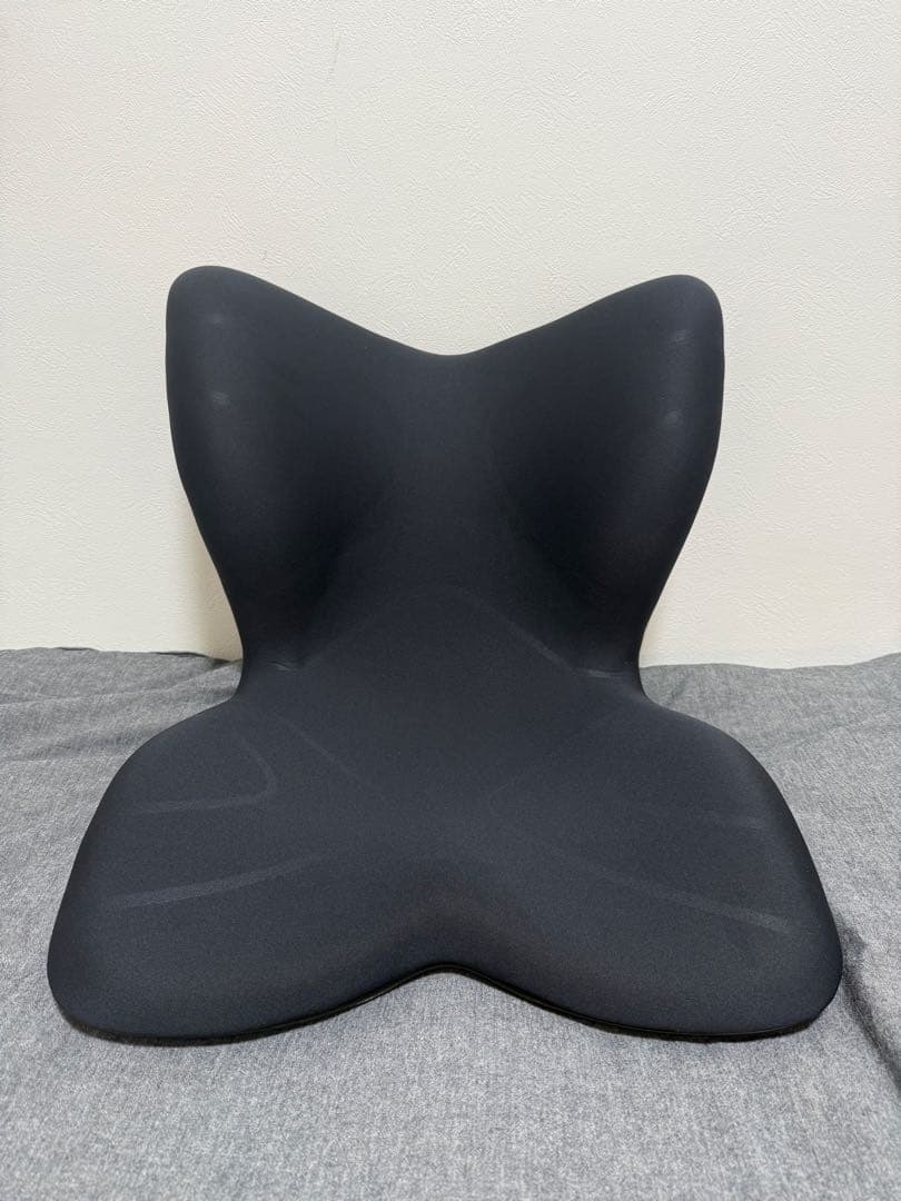 Style PREMIUM スタイルプレミアム　ブラック MTG 姿勢サポートシート Style PREMIUM スタイルプレミアムツー