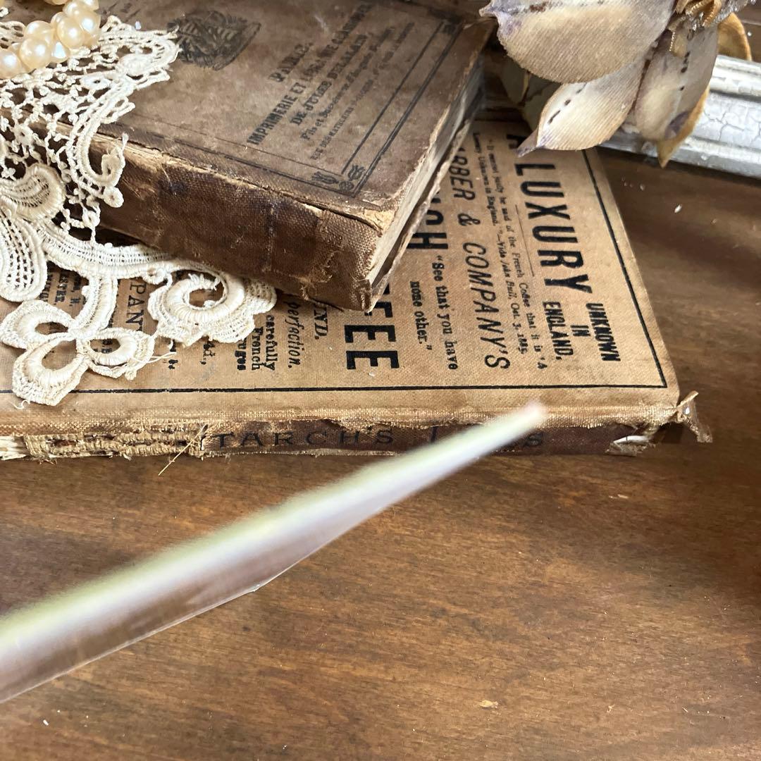 ドイツアンティーク カルト・ド・ヴィジット 可愛い女の子 フランス