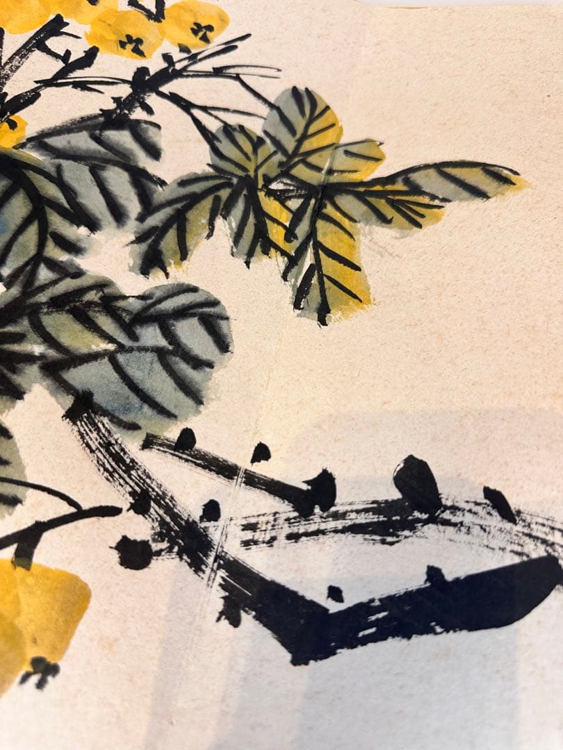 呉昌碩 花卉冊 中国書画 古董