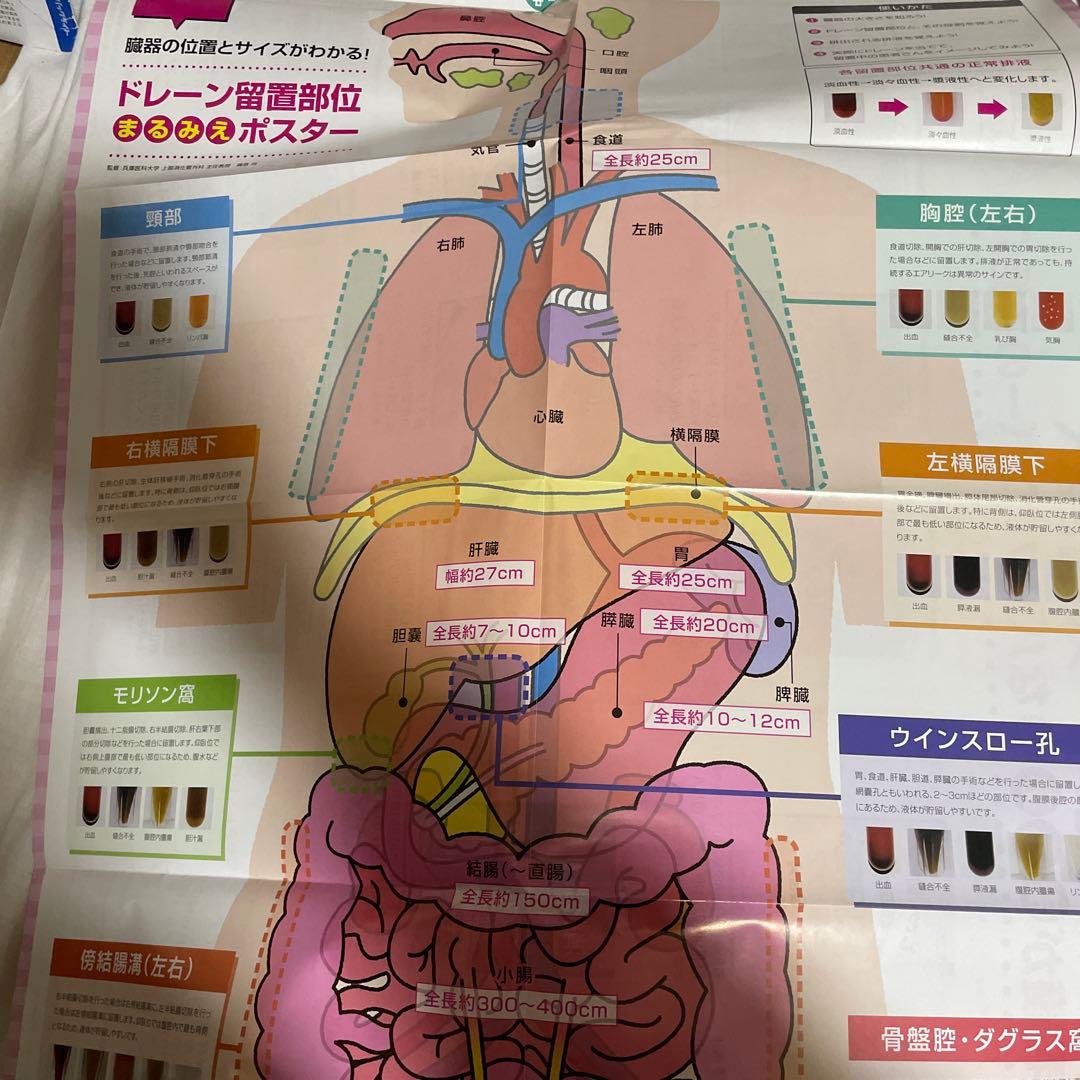 看護学生向け・看護実習に！【消化器・看護】 専門書9冊セット - メルカリ