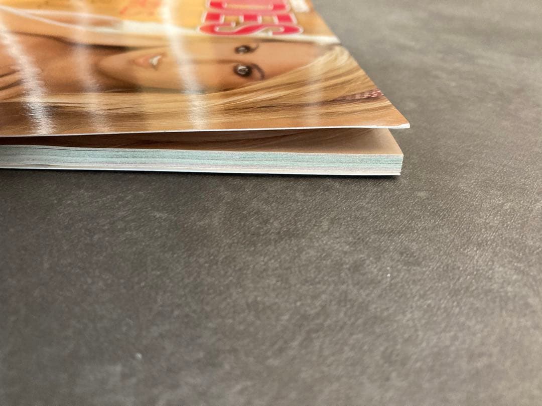 PLAYBOY'S NUDES 特別版　2008年