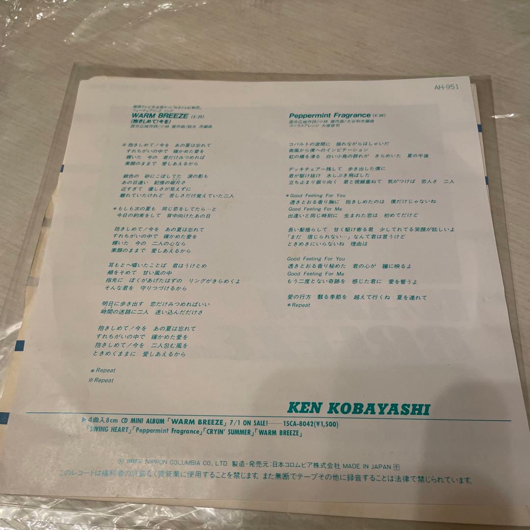 小林健 WARM BREEZE 抱きしめて！今を EPレコード