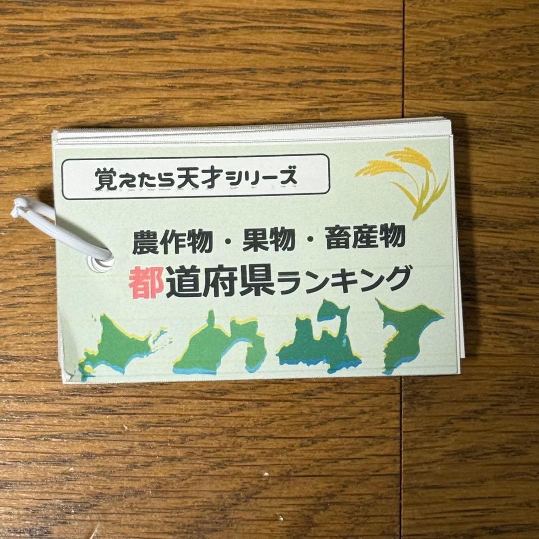 中学受験対策 社会の地理、歴史、公民 基礎暗記カードセット 中学入試