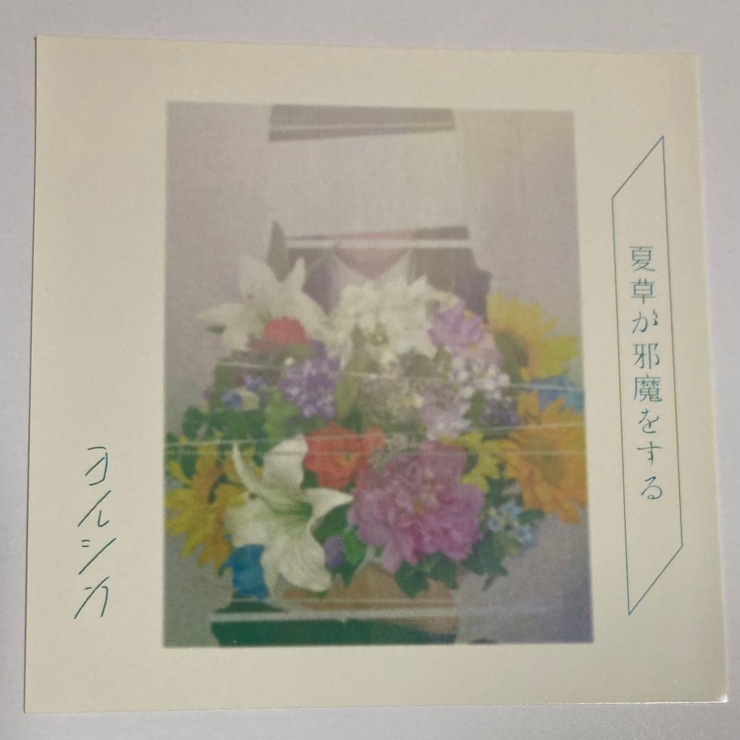 ヨルシカ 非売品 ステッカー 夏草が邪魔をする 特典 - メルカリ