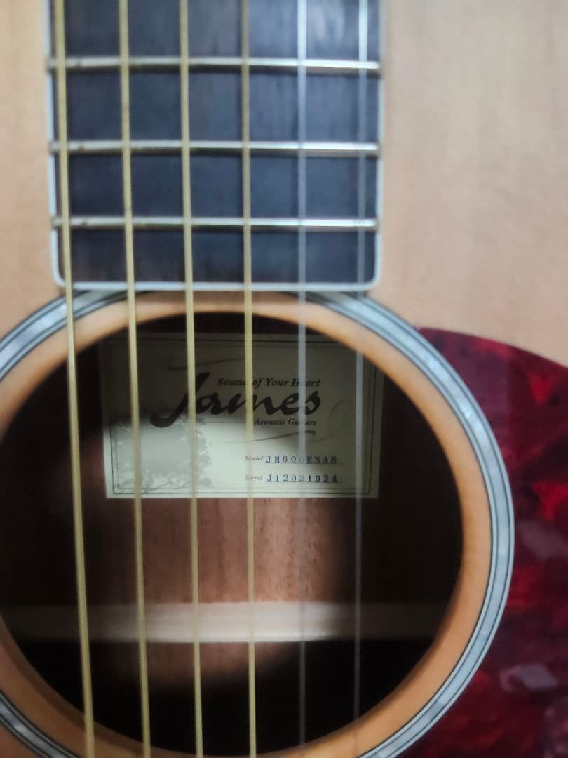 ジェームス james jm600e エレアコ ギター トップ単板