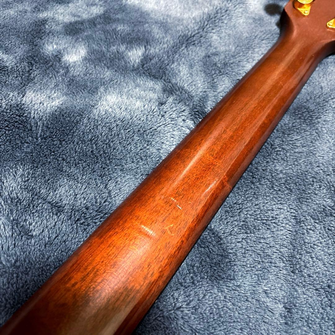 J*S様 Furch OM-23-CR (+ L.R.Baggs)