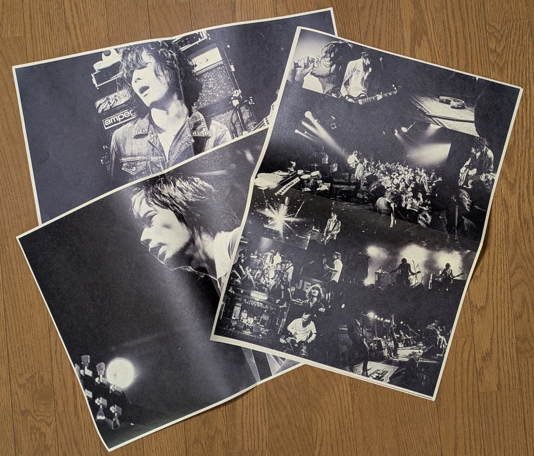 The Birthday】 VISION ツアータブロイド レア