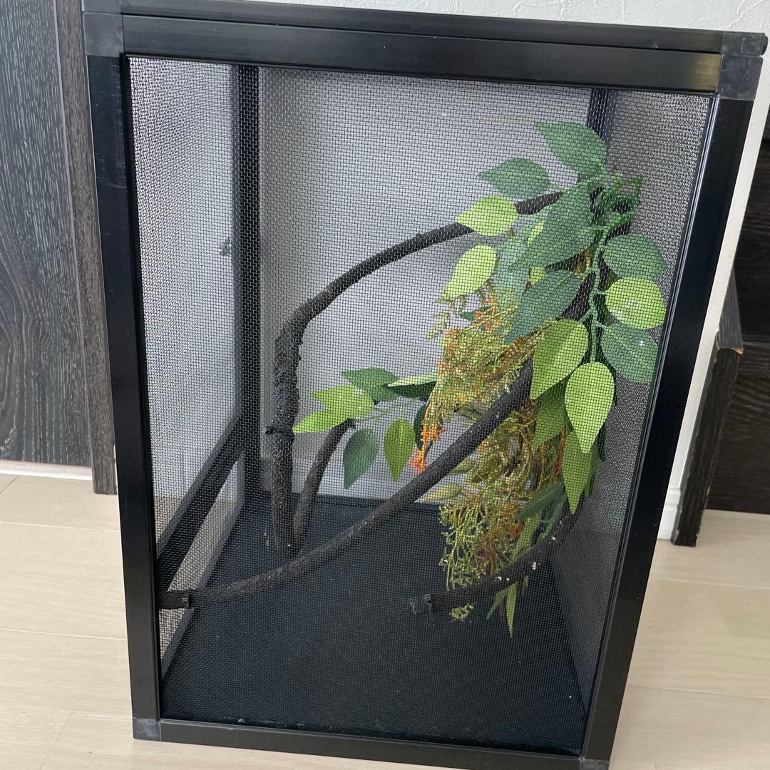カメレオン 飼育 メッシュ ケージ 爬虫類 レイアウト 32×32×46cm