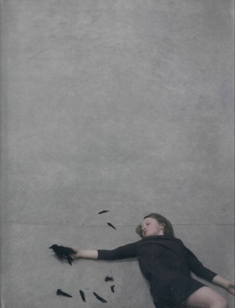 Robert & Shana Parkeharrison 作品集　希少 92947eae99e52be915ab551e3c161a