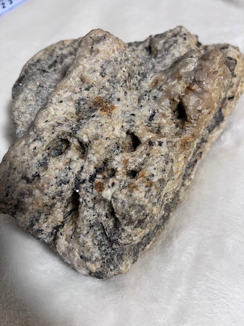 南極の石（約60年前のもの） - メルカリ