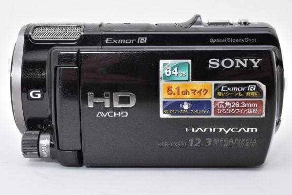 ソニー SONY HDR-CX560V ビデオカメラ ＃3391 - メルカリ