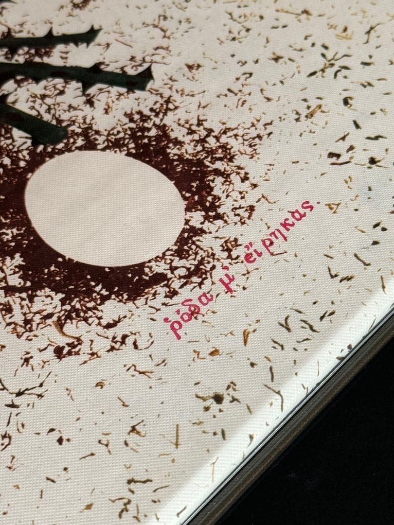 薔薇刑 細江英公 三島由紀夫 完全復刻版 NADiff 2008 - メルカリ