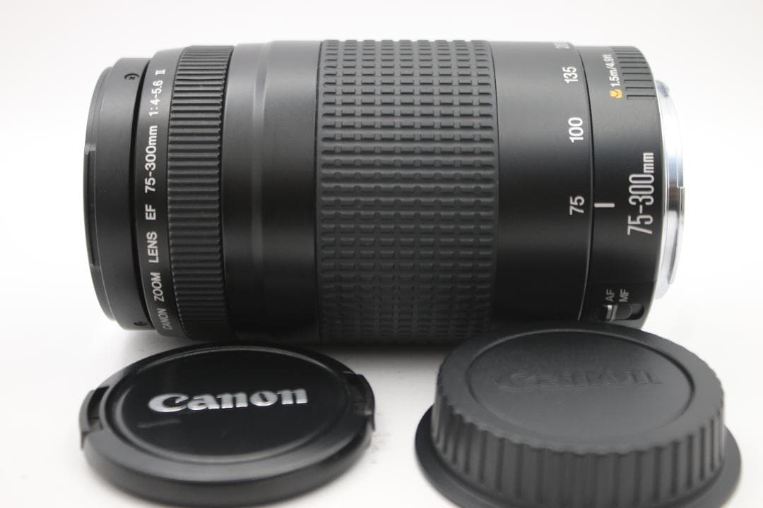 ⭐️美品⭐️キャノン Canon EF 75-300mm f/4-5.6 II