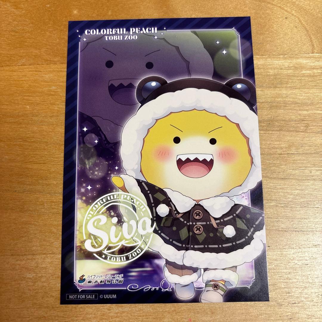 カラフルピーチ からぴち 東武動物公園 シヴァ - メルカリ