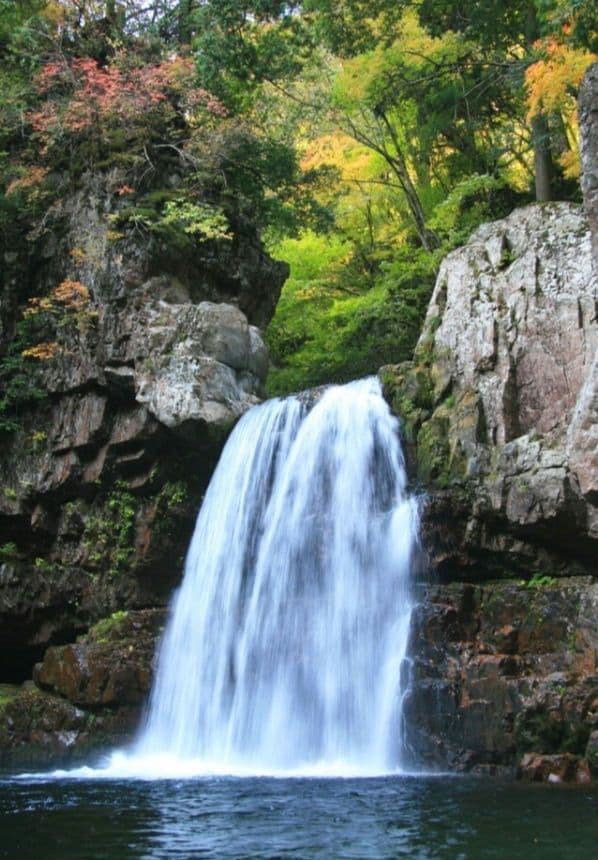 omochishop プロフ必読様 CANON EOS 30D 広角から望遠まで 価格.com