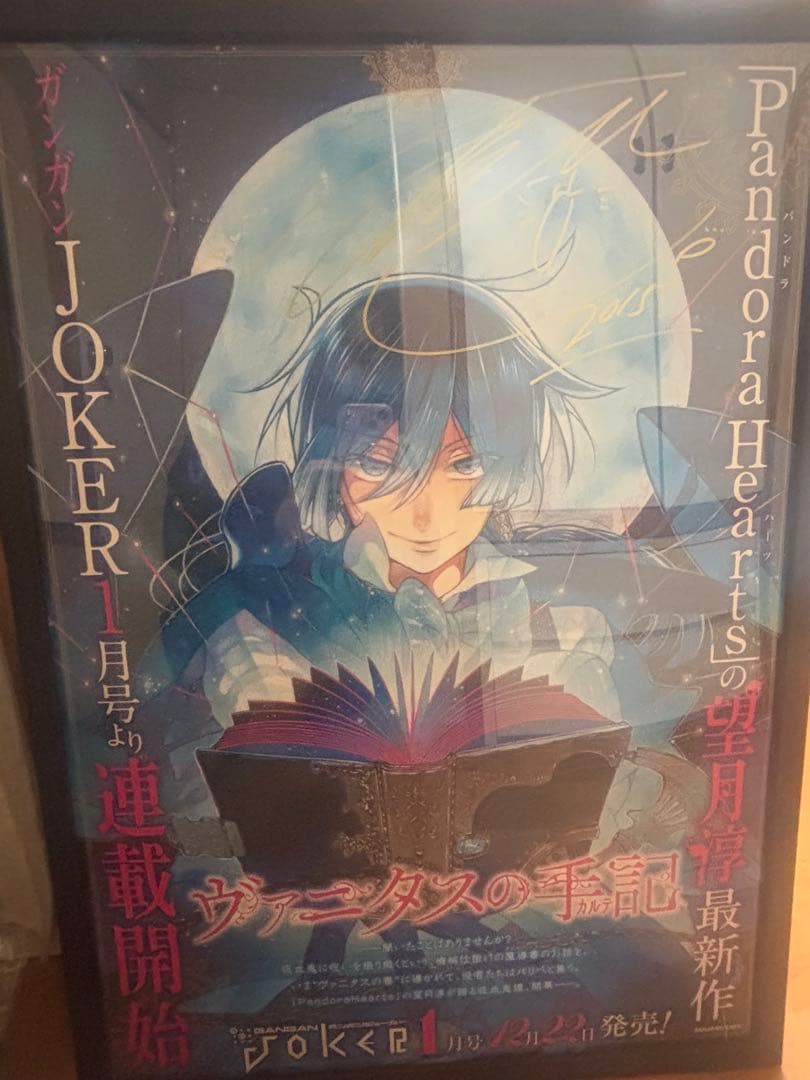 ヴァニタスの手記直筆サイン入りポスター Amazon.co.jp: ヴァニタスの手記 望月淳描き下ろし 複製サイン入り色紙